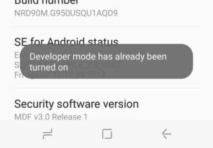 developer options s8