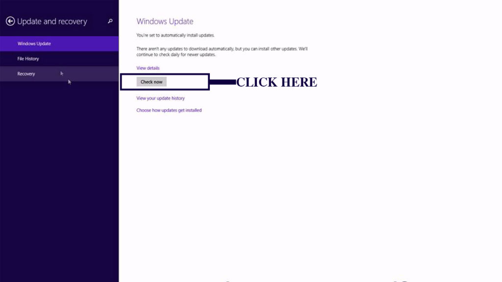 How To Check Or Run Microsoft Windows Update?