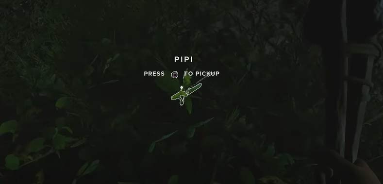pipi plant stranded deep