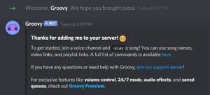 groovy bot discord