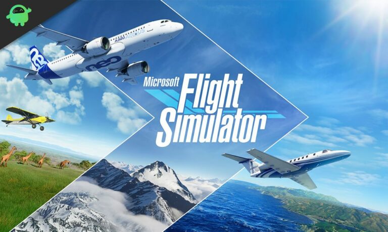 ms flight sim for mac