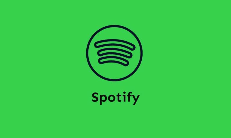 spotify downloader saying no connection