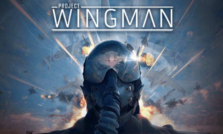 Project wingman fatal error что делать