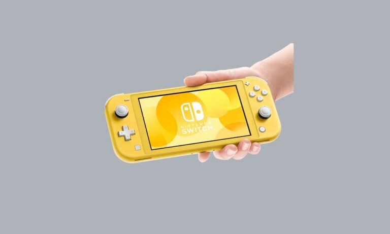 Does Nintendo Switch Lite Support Multiplayer?