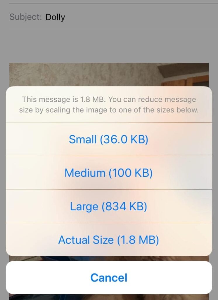 how-to-reduce-photo-file-size-on-iphone-and-mac