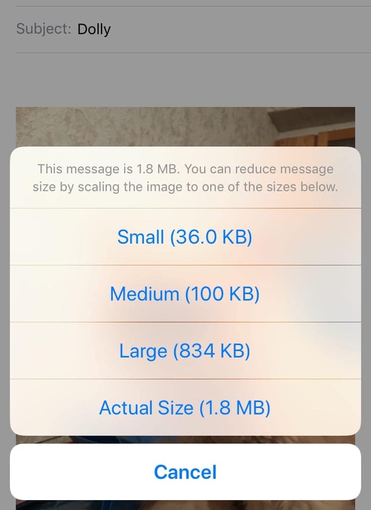  How To Reduce Photo File Size On IPhone And Mac