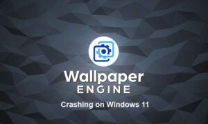 Wallpaper Engine Crashing On Windows 11, How To Fix?