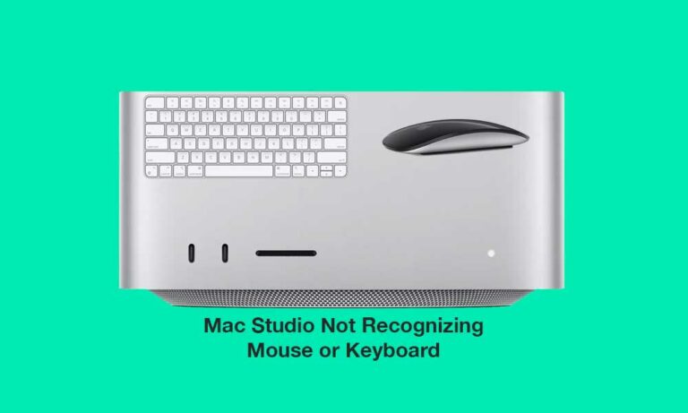 fix-mac-studio-not-recognizing-mouse-or-keyboard